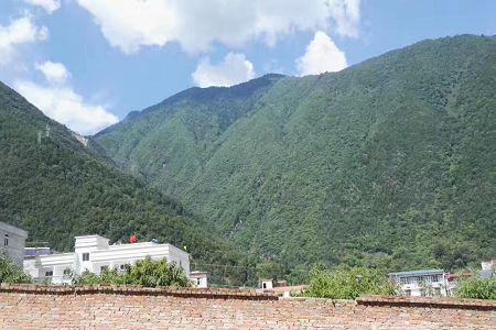 2025年邵阳三中录取分多少?见2025年最低分